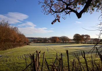 Derbyshire Winter field.jpg